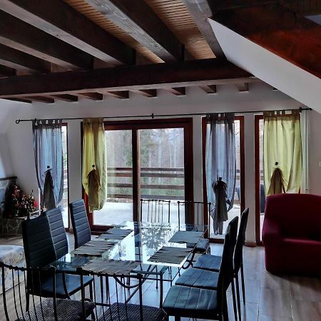 Vila Ines Sinaia Exterior photo
