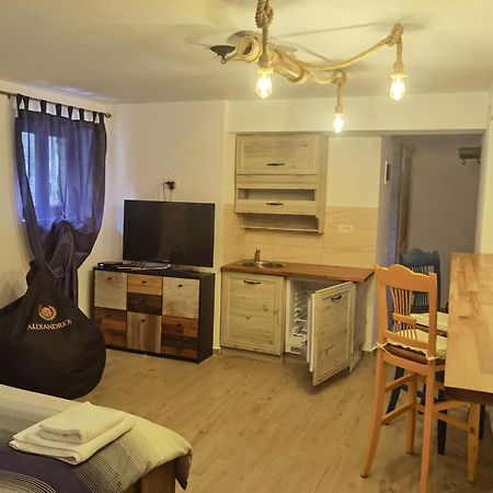 Vila Ines Sinaia Room photo