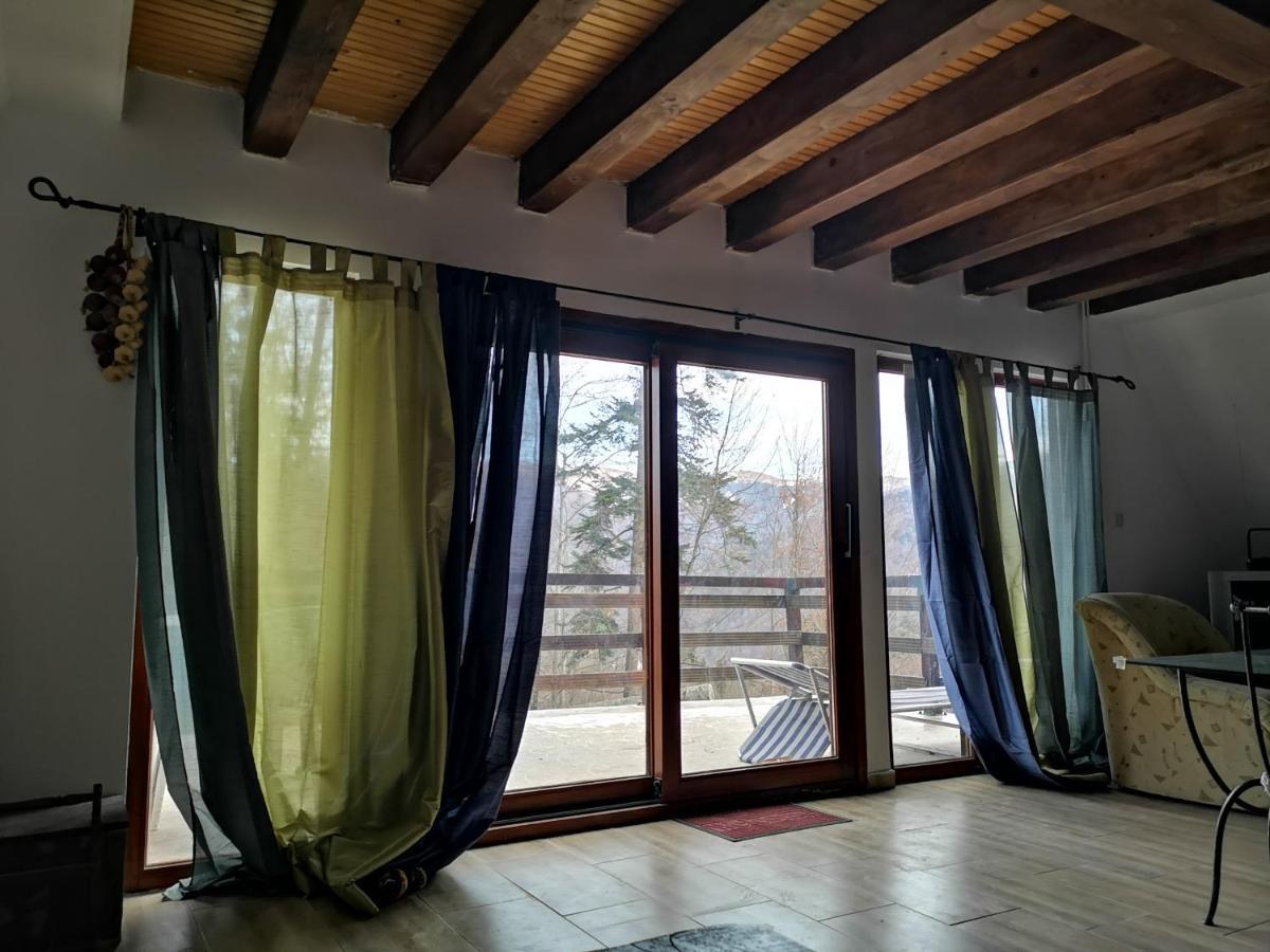 Vila Ines Sinaia Exterior photo